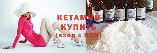 гидра Покачи