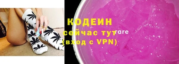 прущий лед Алзамай