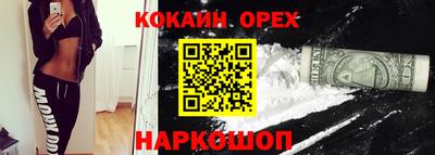 спиды Бийск