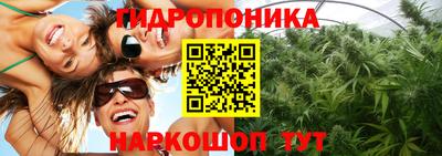 спиды Бийск