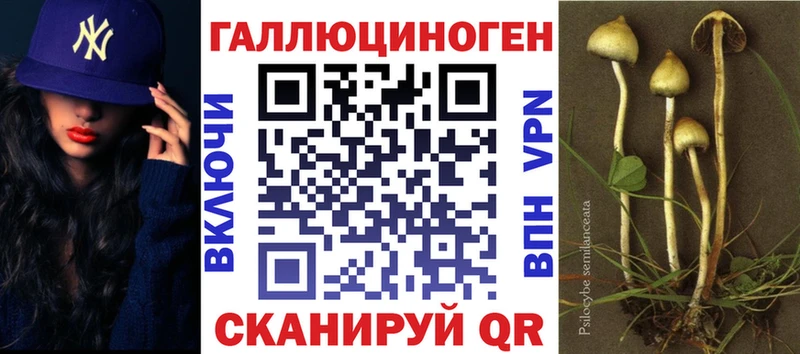 хочу наркоту  Борзя  Галлюциногенные грибы Magic Shrooms 