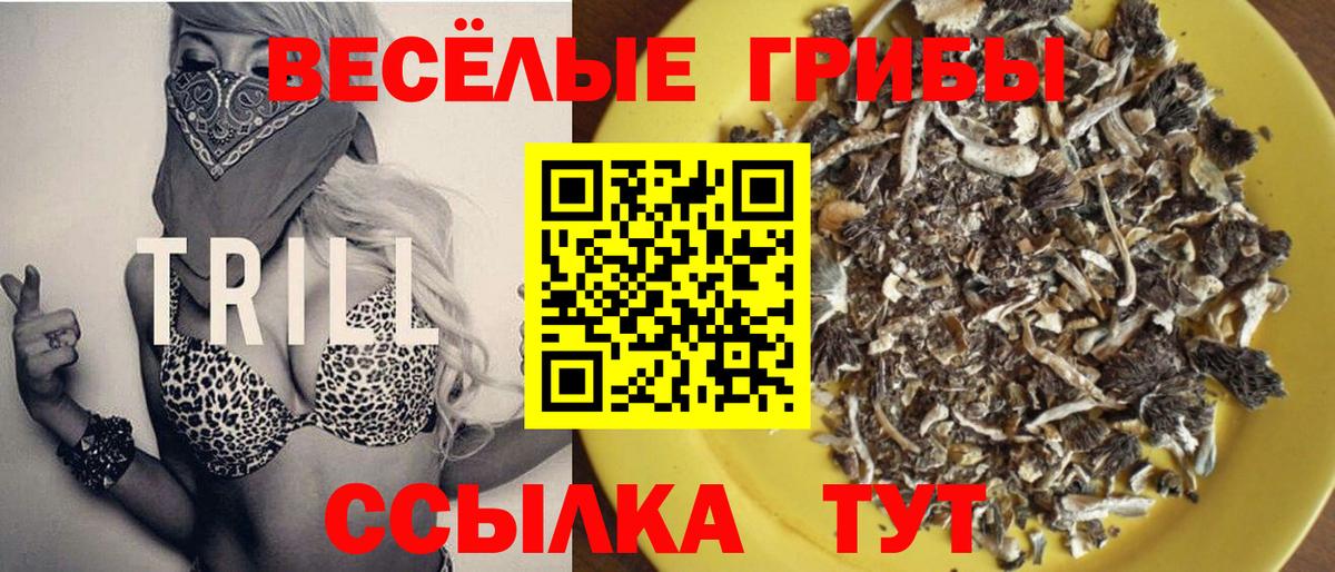 Псилоцибиновые грибы Cubensis  Псилоцибиновые грибы ЛСД  хочу наркоту  Борзя  Вход с VPN 