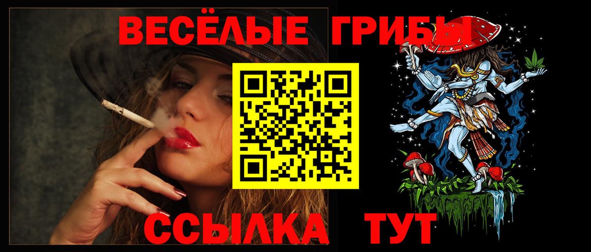 Галлюциногенные грибы GOLDEN TEACHER Борзя