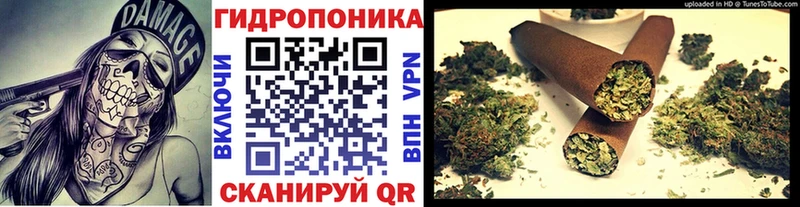 Марихуана SATIVA & INDICA  Борзя 